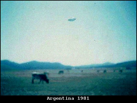argentina1981